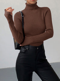 Esme Fine Rib Fitted Roll Neck Long Sleeve Knit Top
