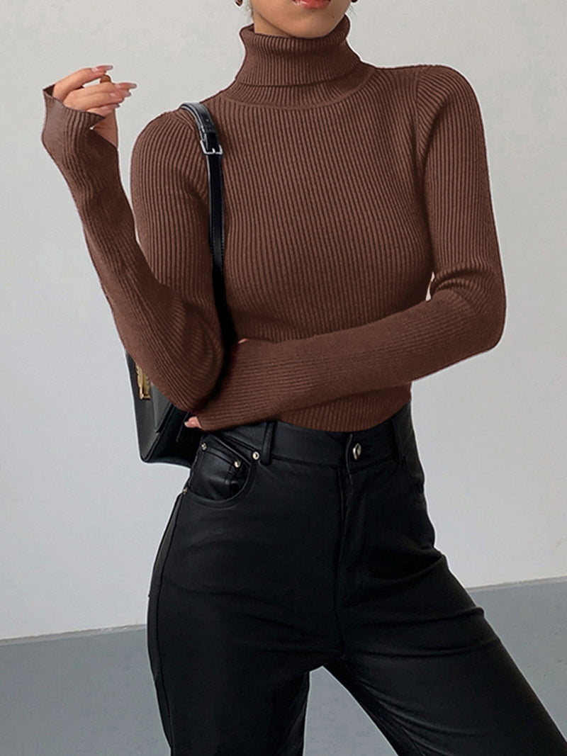 Esme Fine Rib Fitted Roll Neck Long Sleeve Knit Top