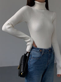 Esme Fine Rib Fitted Roll Neck Long Sleeve Knit Top