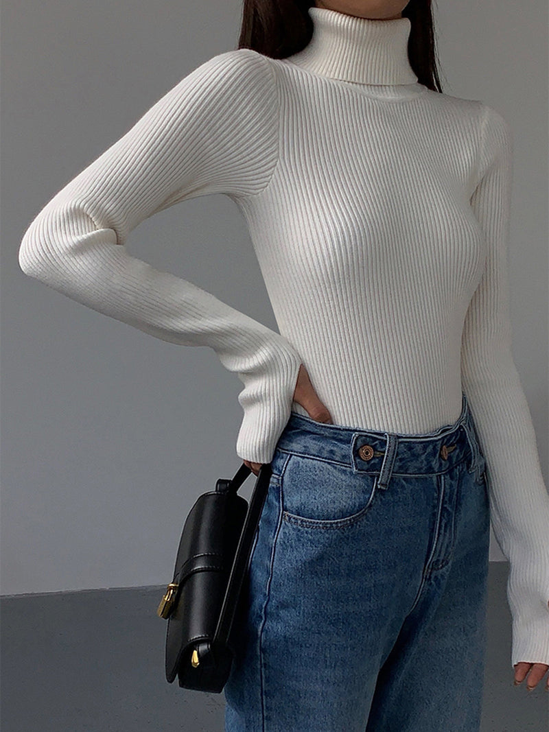 Esme Fine Rib Fitted Roll Neck Long Sleeve Knit Top