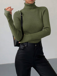 Esme Fine Rib Fitted Roll Neck Long Sleeve Knit Top