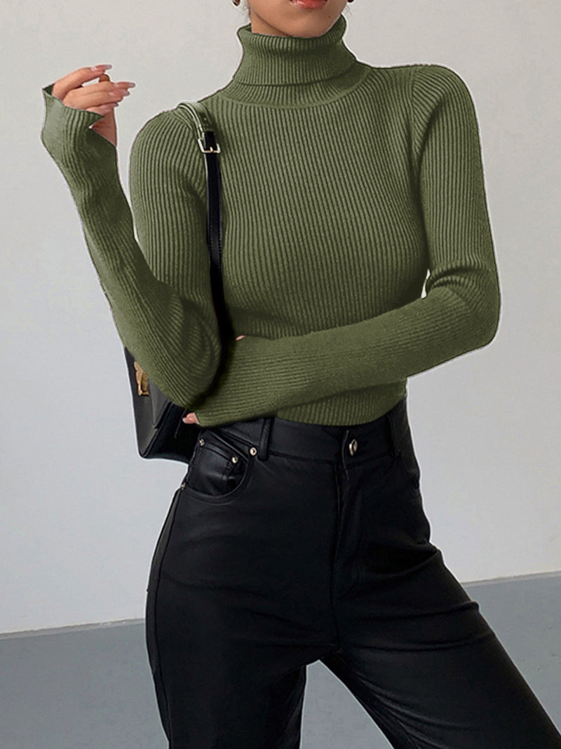 Esme Fine Rib Fitted Roll Neck Long Sleeve Knit Top