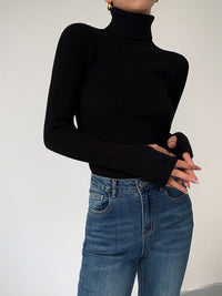 Esme Fine Rib Fitted Roll Neck Long Sleeve Knit Top