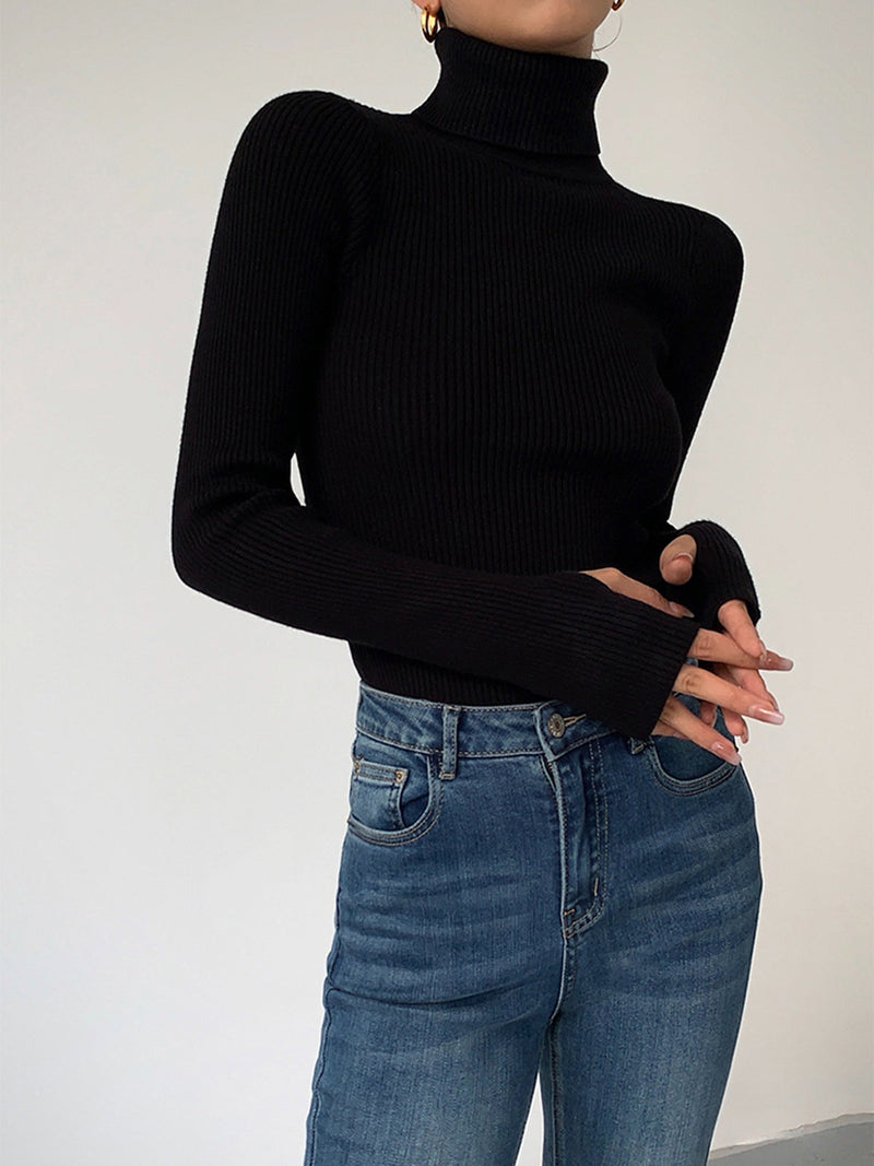 Esme Fine Rib Fitted Roll Neck Long Sleeve Knit Top