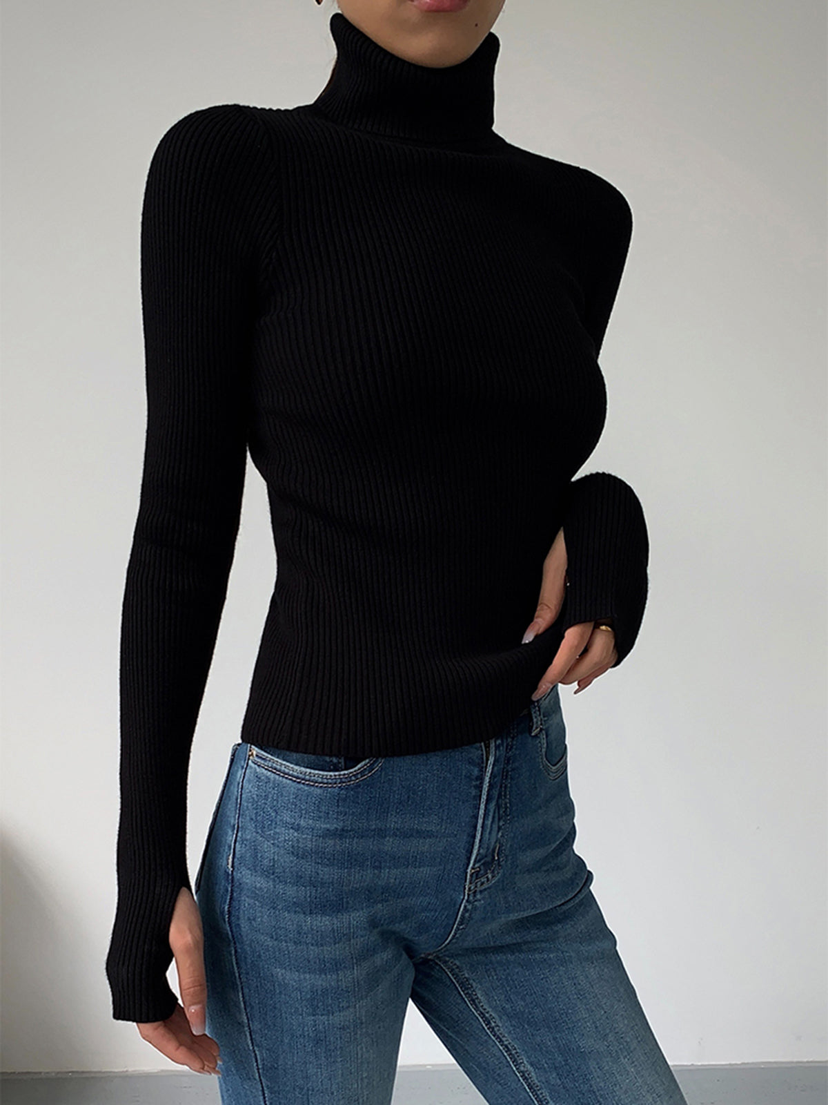 Esme Fine Rib Fitted Roll Neck Long Sleeve Knit Top