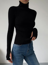 Esme Fine Rib Fitted Roll Neck Long Sleeve Knit Top